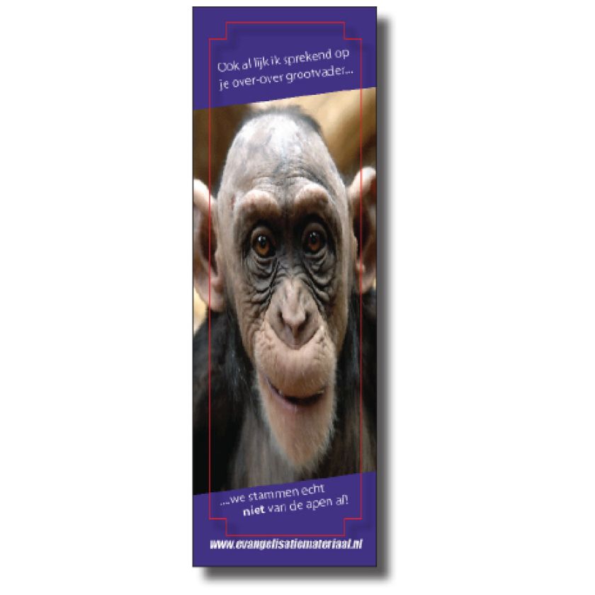 Boekenlegger 'We stammen niet van de apen af'