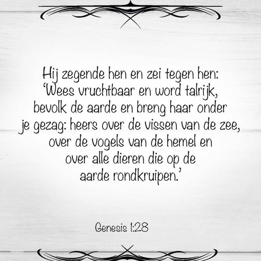 Scheurkalender 365 bijbelse beloften - 9789078893233 -  Kalenders & agenda's bij MajesticAlly