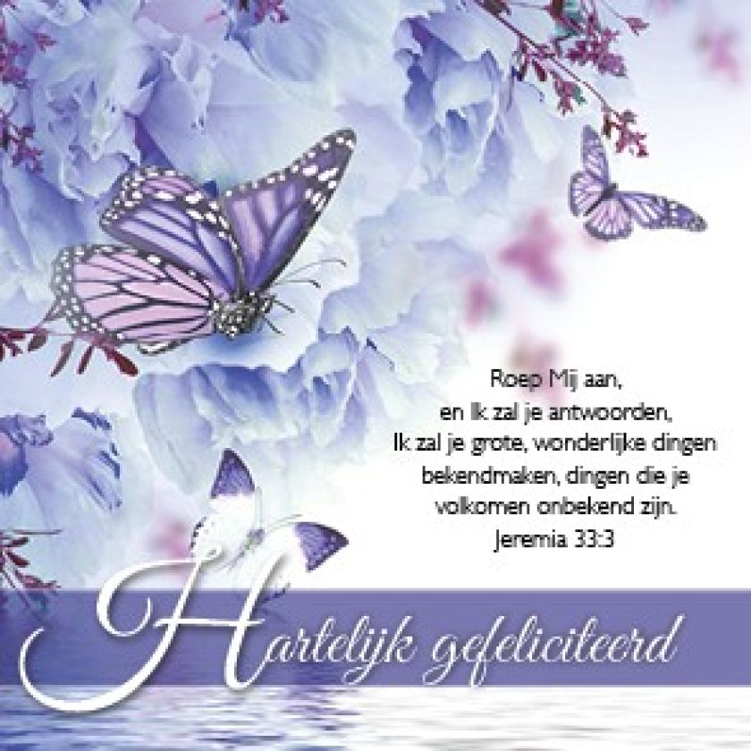 Voordeelpakket 24 kaarten Blessings - MA46250 -  Voordeelpakjes bij MajesticAlly