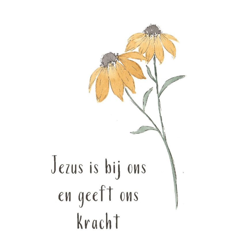 Blikje Mama kaarten - Zwanger - MA27501 -  Cadeau's bij MajesticAlly