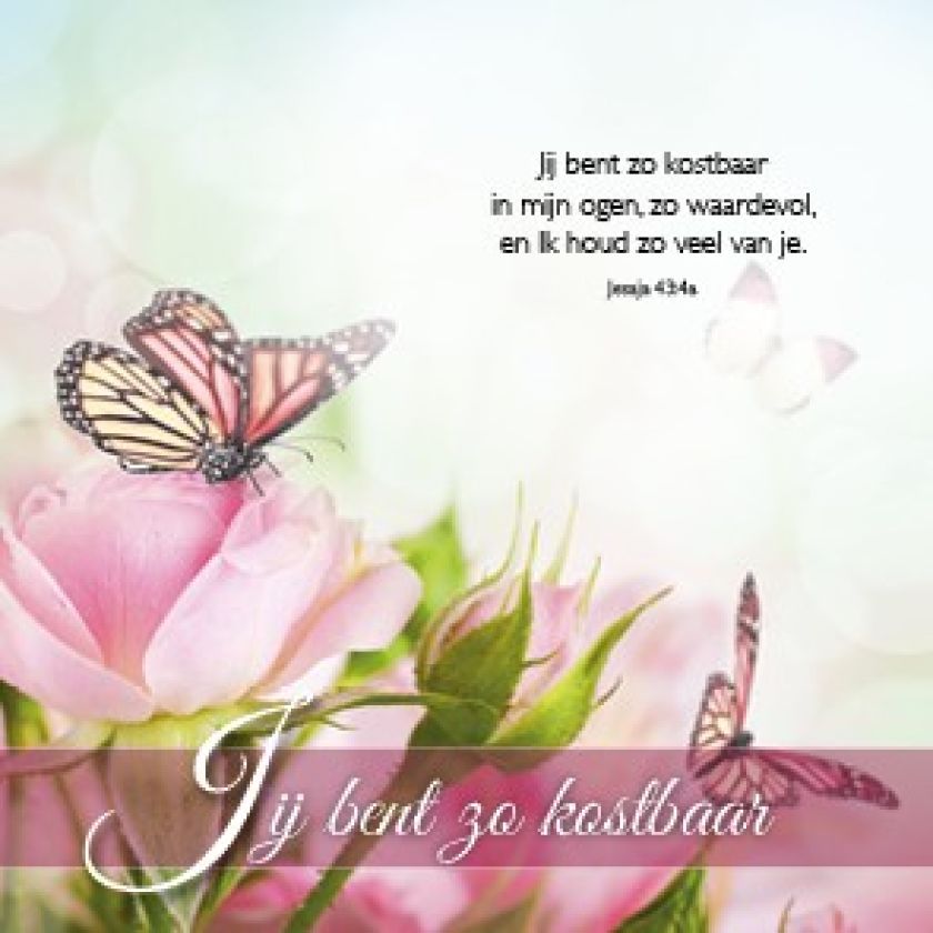 Voordeelpakket 24 kaarten Blessings - MA46250 -  Voordeelpakjes bij MajesticAlly