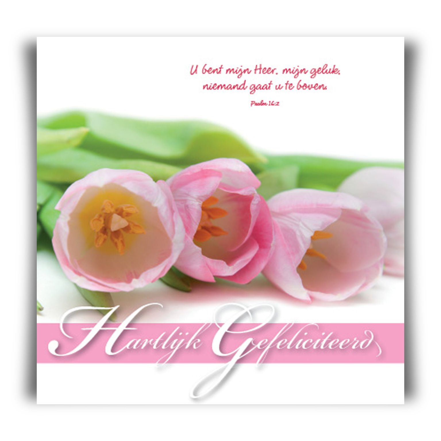 Prentbriefkaart 'Hartelijk gefeliciteerd'