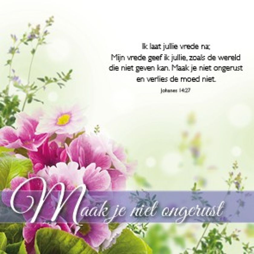 Voordeelpakket 24 kaarten Blessings - MA46250 -  Voordeelpakjes bij MajesticAlly