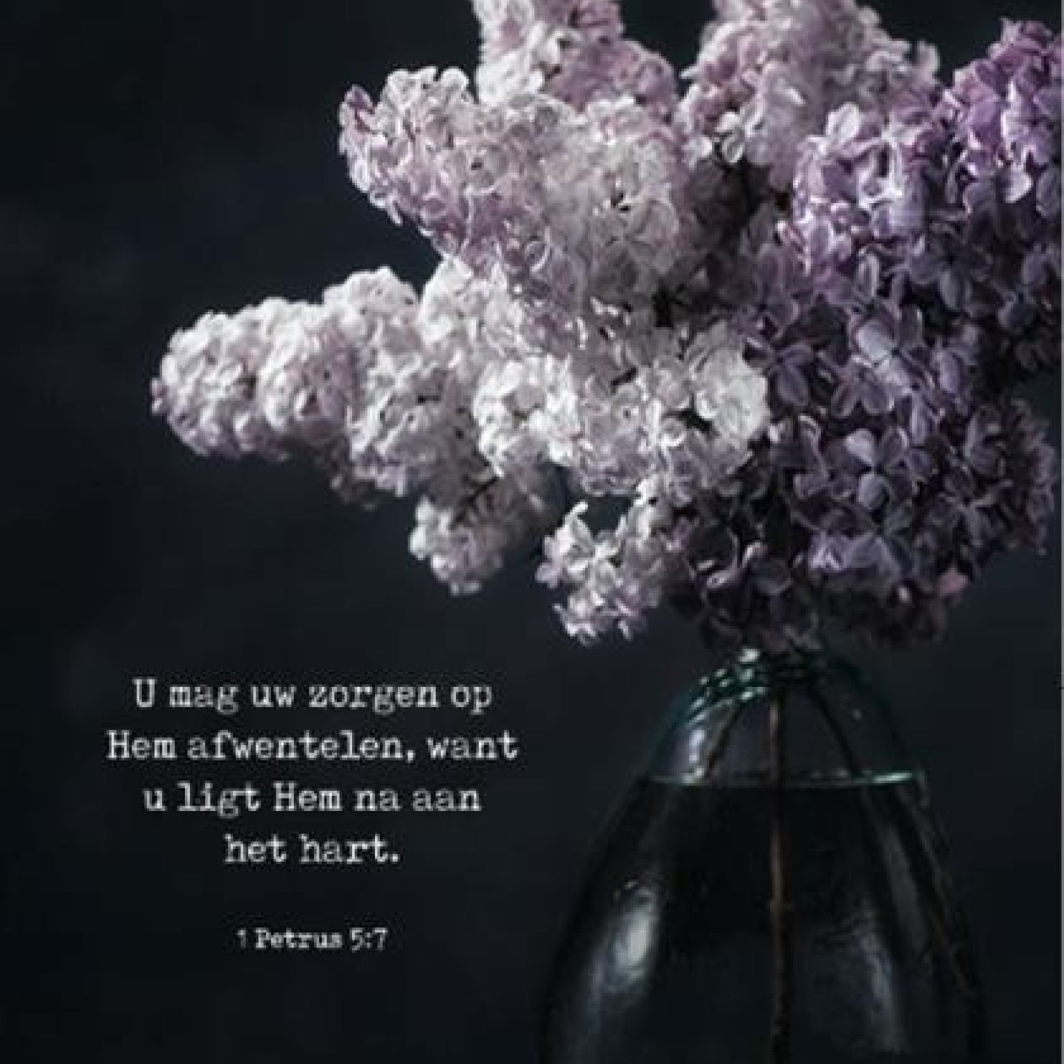 Kaartcadeau U mag uw zorgen op Hem afwentelen - MA37046 -  Kaarten bij MajesticAlly