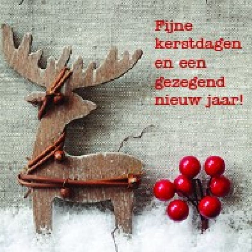 Groot pakket diverse kerstkaarten - 100 stuks - MA12096 -  Grote pakketten  bij MajesticAlly