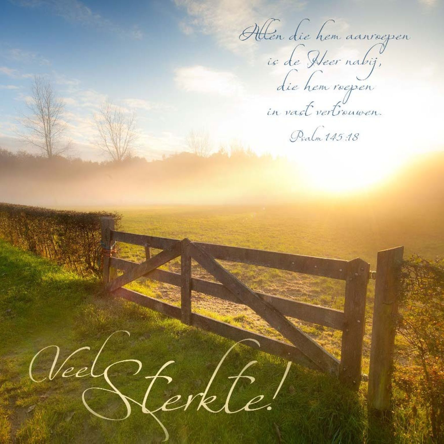 * Voordeelpakket 36 kaarten David Sörensen - MA11100 -  David Sörensen bij MajesticAlly