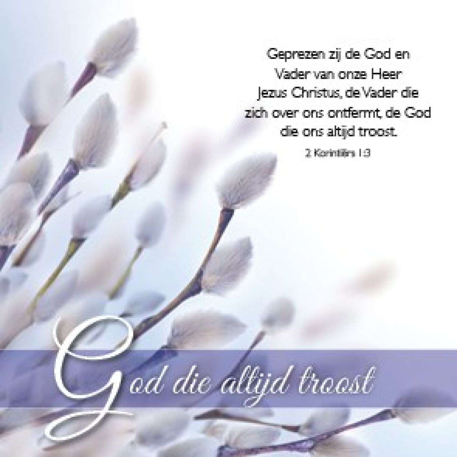 Voordeelpakket 24 kaarten Blessings - MA46250 -  Voordeelpakjes bij MajesticAlly