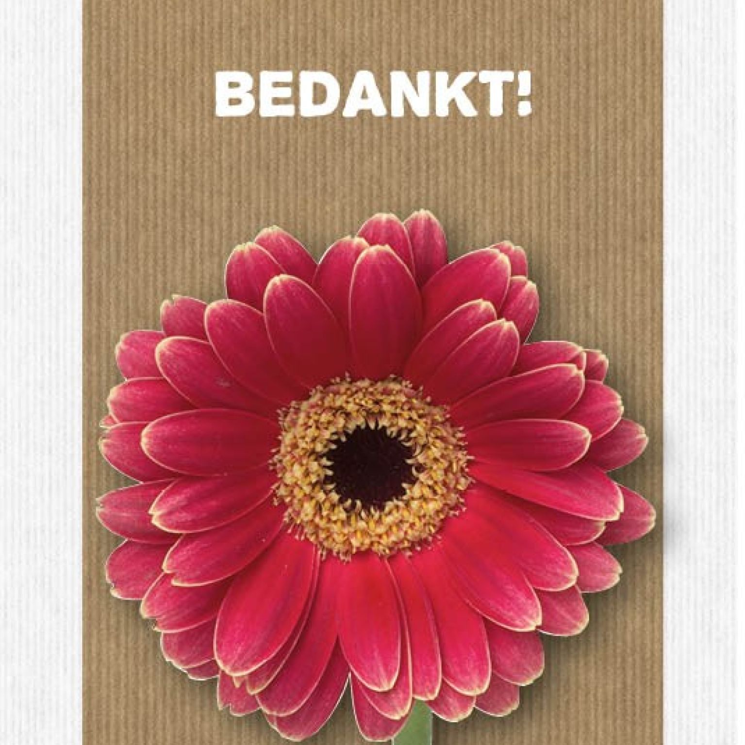 Sponsorpakket 40 kaarten met envelop - MA17000S -  Leef!  bij MajesticAlly