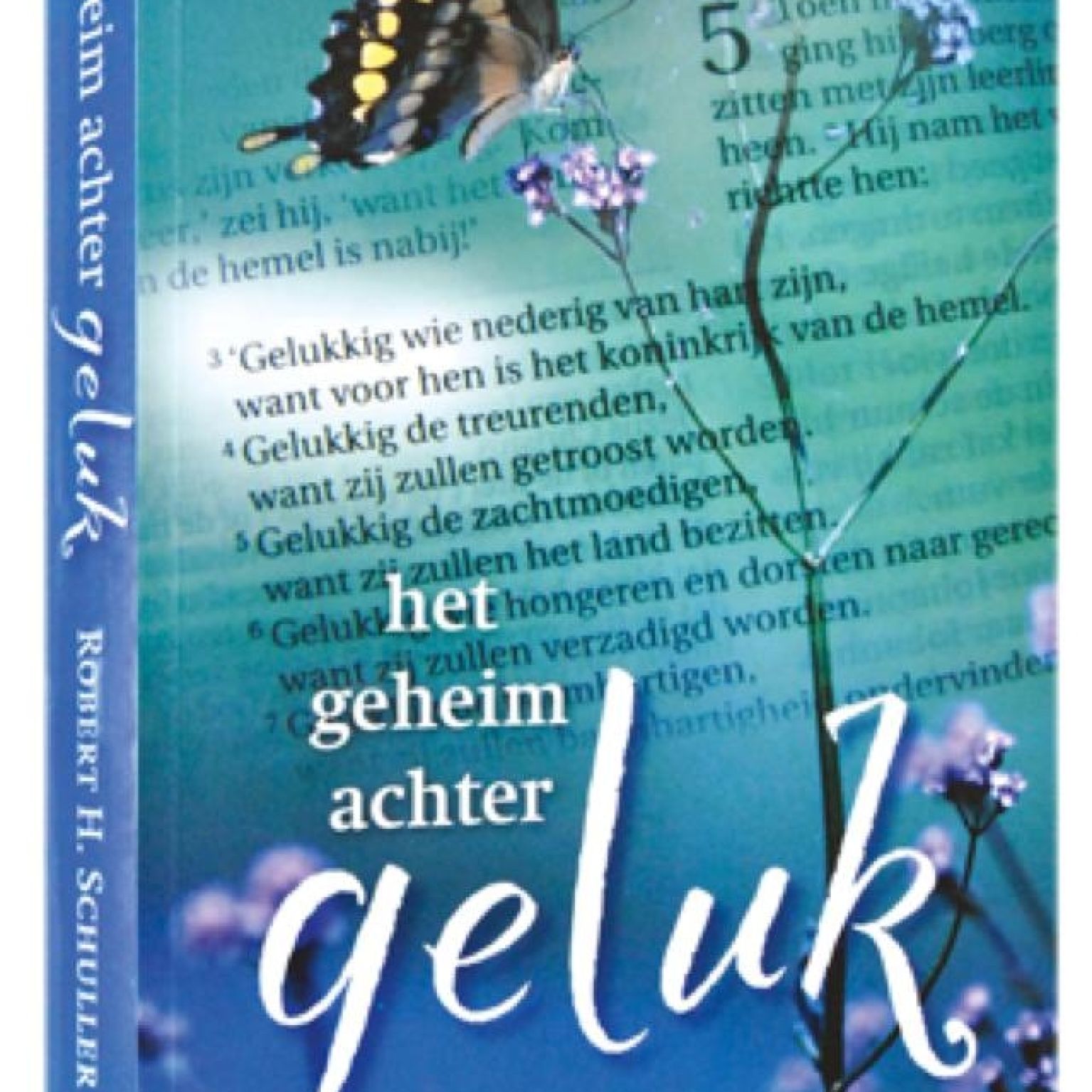 Geheim achter geluk - 9789080963399 -  Boeken bij MajesticAlly