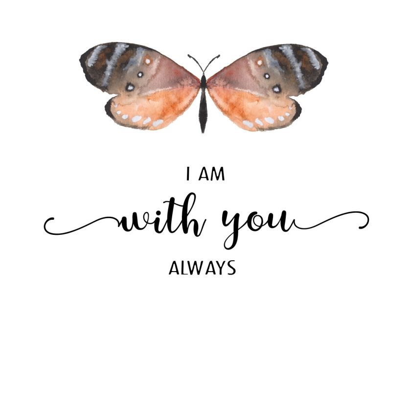 Voordeelpakket 24 kaarten 'Beautiful Day' - MA25300 -  Beautiful Day bij MajesticAlly