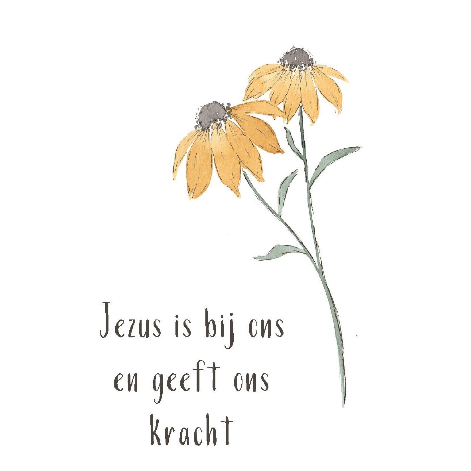 Blikje Mama kaarten - Zwanger - MA27501 -  Cadeau's bij MajesticAlly