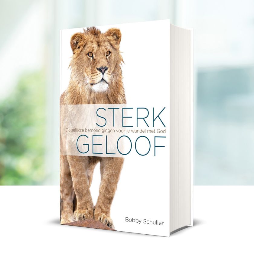 Dagboek 'Sterk geloof' - 9789493206182 -  Boeken bij MajesticAlly