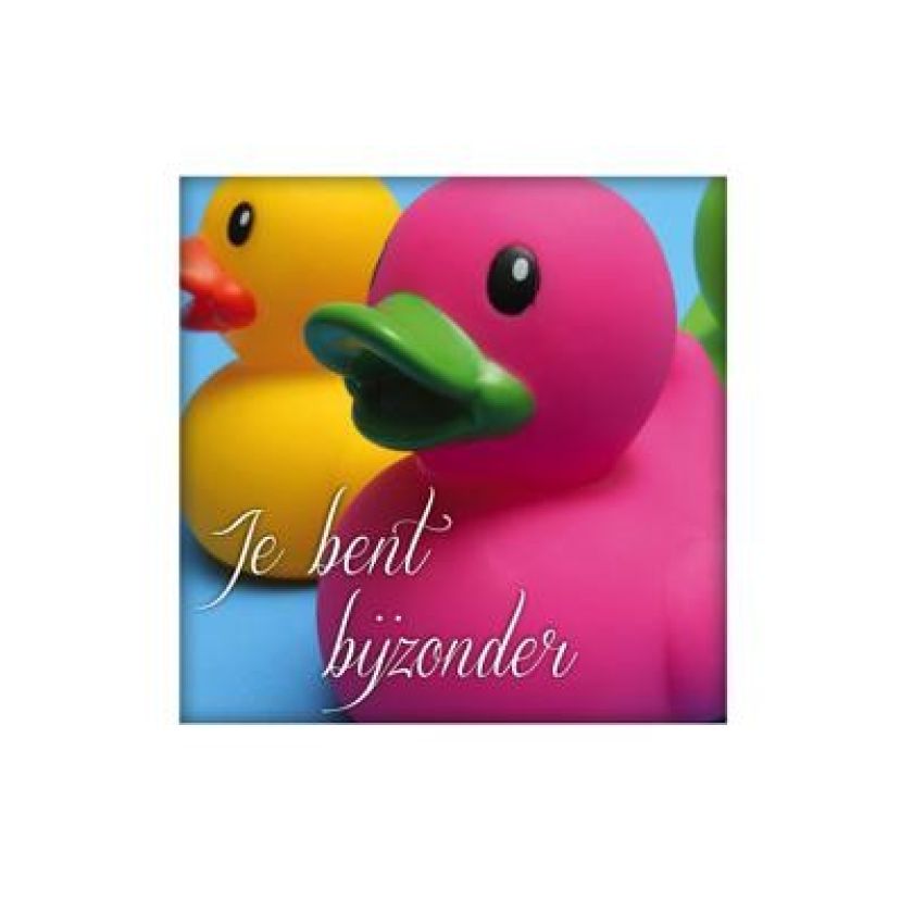 Sponsorpakket  'Living Melodies' voor een bijbel - MA15000S -  Living Melodies bij MajesticAlly