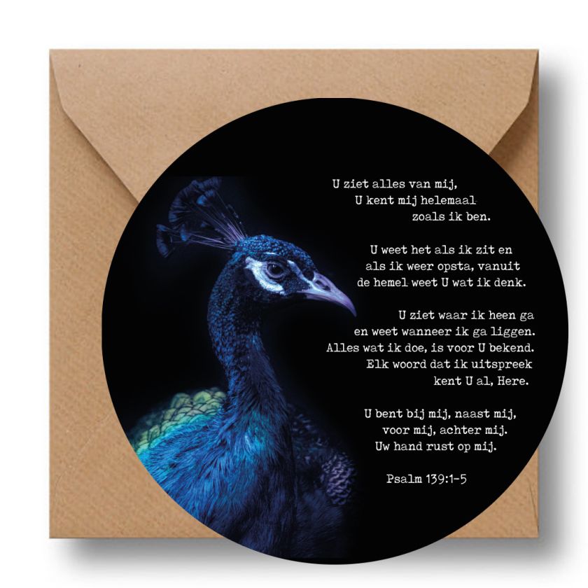 MA39633 Cirkelcadeau 'Psalm 139:1-5'