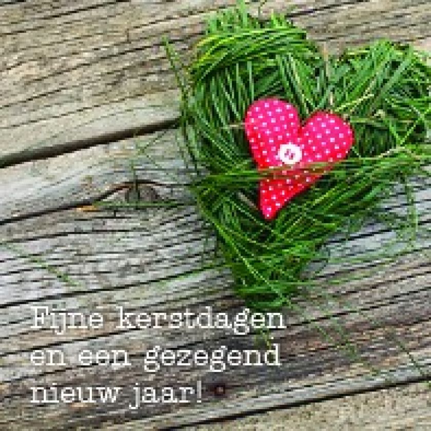 Groot pakket diverse kerstkaarten - 100 stuks - MA12096 -  Grote pakketten  bij MajesticAlly