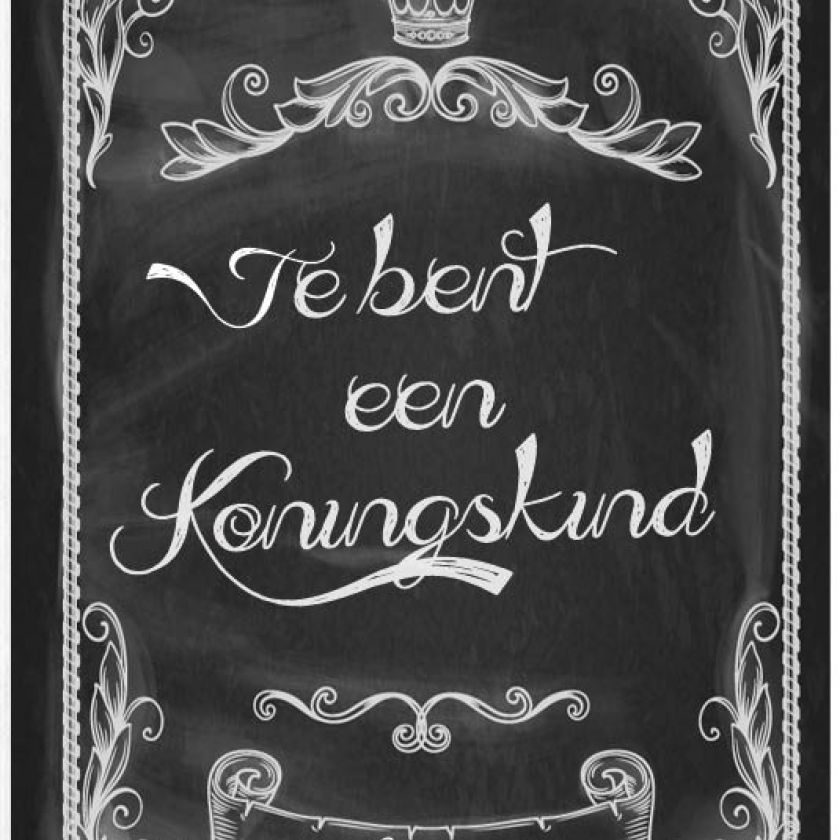 Sponsorpakket 40 kaarten met envelop - MA17000S -  Leef!  bij MajesticAlly