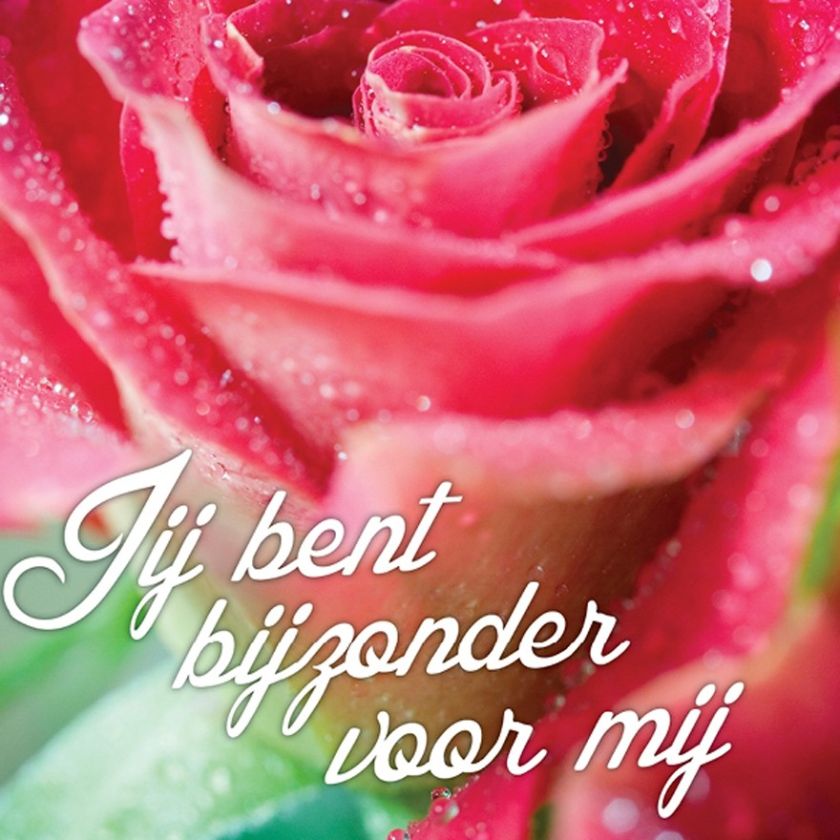 * Voordeelpakket Lifestyle  - 36 kaarten - MA12200 -  Pakjes kaarten bij MajesticAlly