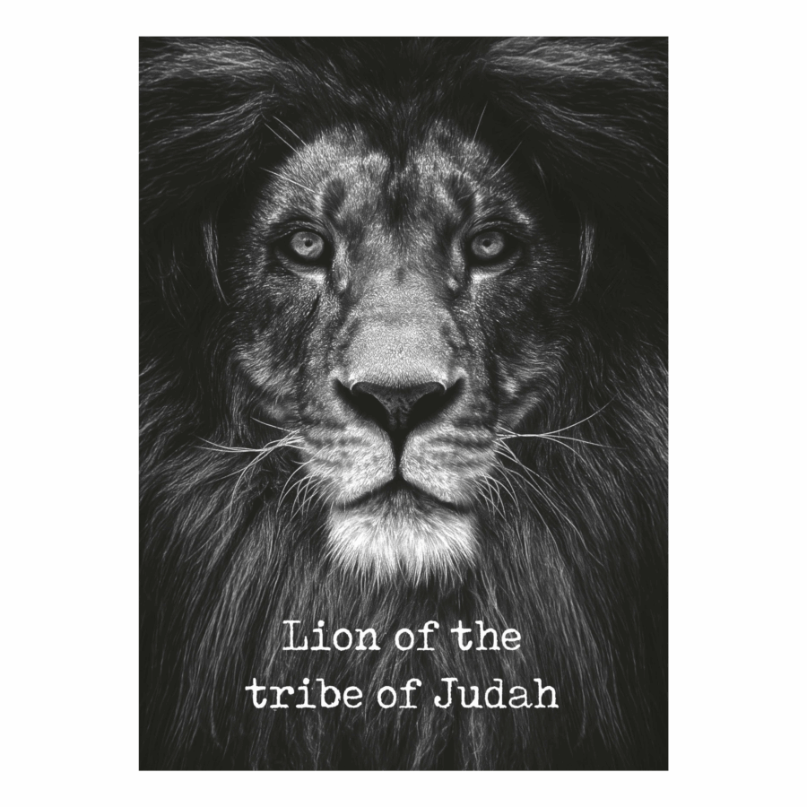 Metal Deco A3 'Lion of the tribe of Judah'