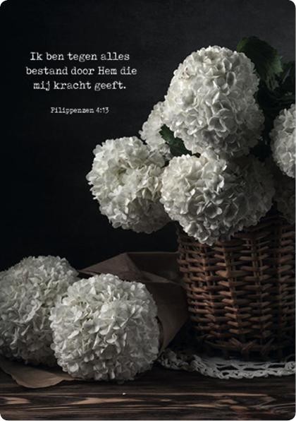 Kaartcadeau Ik ben tegen alles bestand - MA37040 -  Kaarten bij MajesticAlly