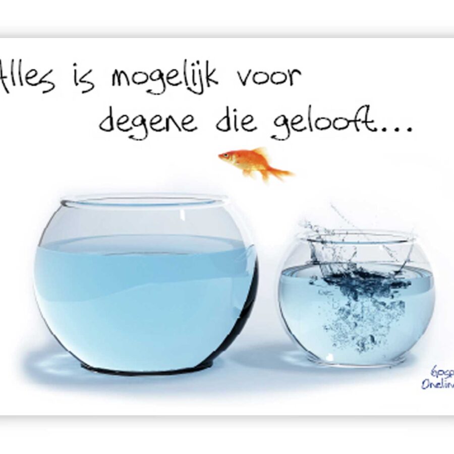Prentbriefkaart alles is mogelijk - 46303 -  Quotes