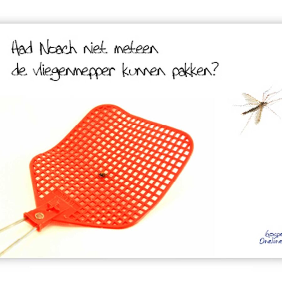 Prentbriefkaart 'Had Noach niet gelijk even de vliegenmepper kunnen pakken?'