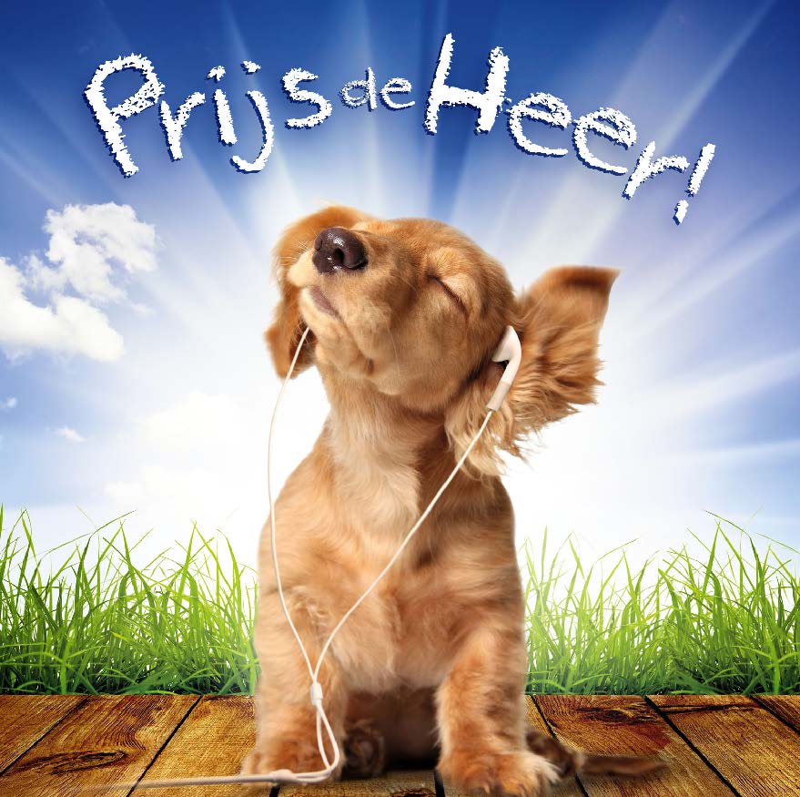 Kaart 'Prijs de Heer' - MA11005 -  David Sörensen bij MajesticAlly