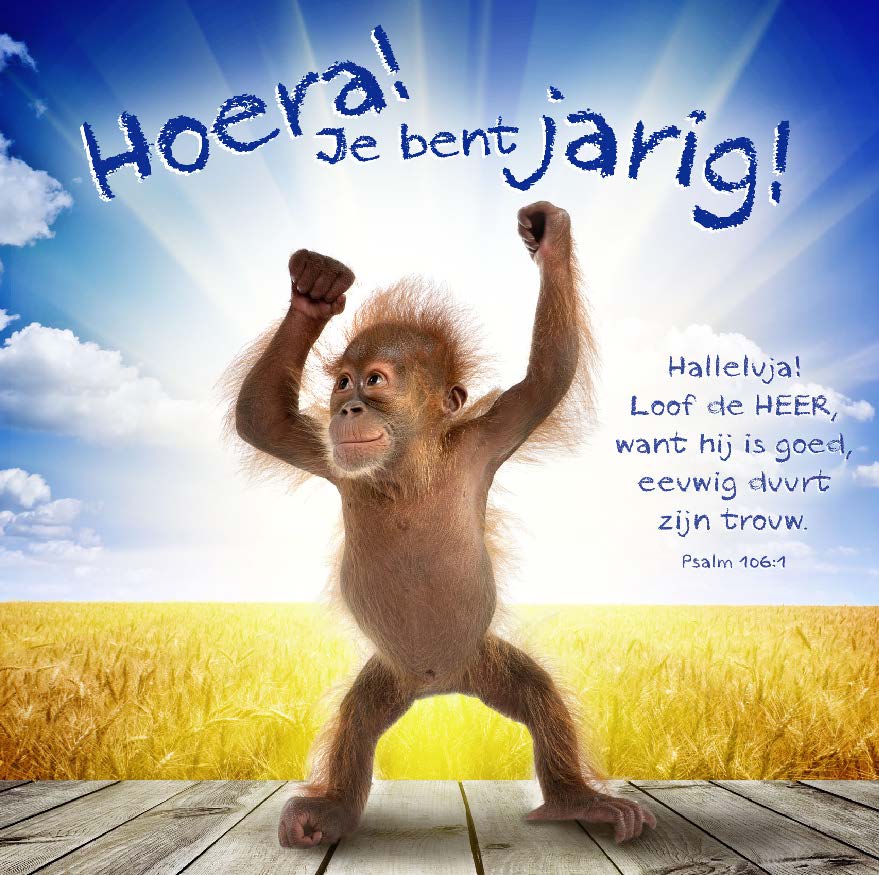 Kaart 'Hoera! je bent jarig!' - MA11006 -  David Sörensen bij MajesticAlly