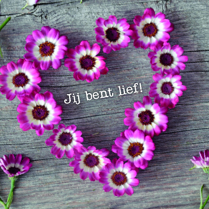 kaart ‘Jij bent lief’ - MA12301 -  Liefde & Vriendschap bij MajesticAlly