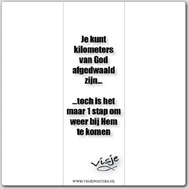 Boekenlegger visje je kunt kilometers va - 44856 -  Visje bij MajesticAlly