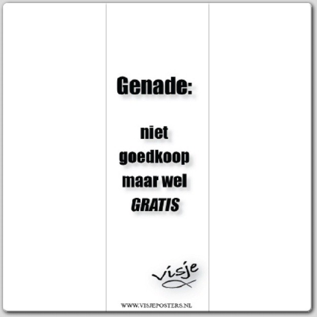 Boekenlegger visje genade niet goedkoop - 44868 -  Visje bij MajesticAlly