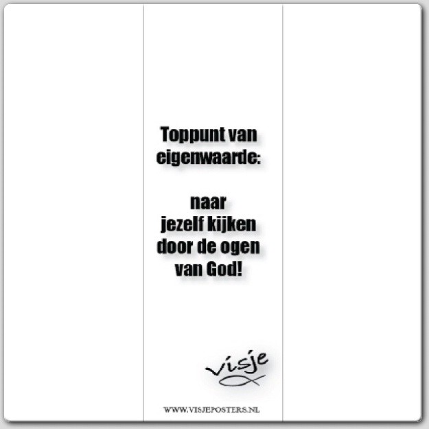 Boekenlegger visje toppunt van eigenwaar - 44872 -  Visje bij MajesticAlly