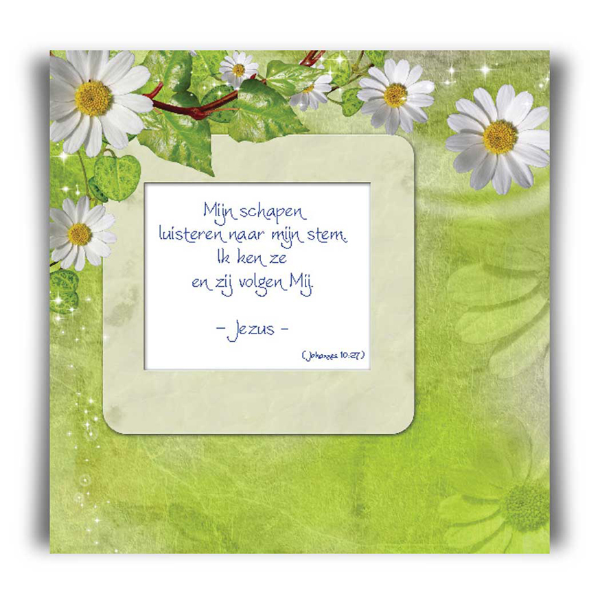 Mega Voordeelpakket 400 Bible Message kaarten - 45100M -  Bible Message bij MajesticAlly