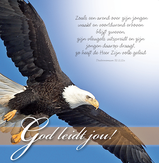 Voordeelpakket 25 Square Prentbriefkaarten - MA46251 -  Voordeelpakjes bij MajesticAlly