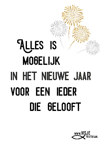 Kerstkaart 'Alles is in het nieuwe jaar mogelijk' - Visje - MA26004 -  Visje kerstkaarten bij MajesticAlly