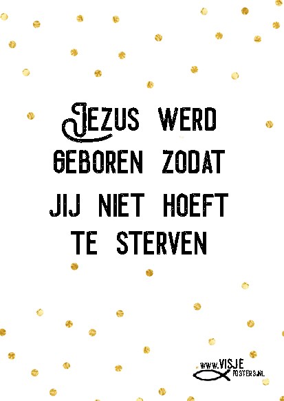Kerstkaart 'Jezus werd geboren zodat jij niet hoeft te sterven' - Visje - MA26008 -  Visje kerstkaarten bij MajesticAlly