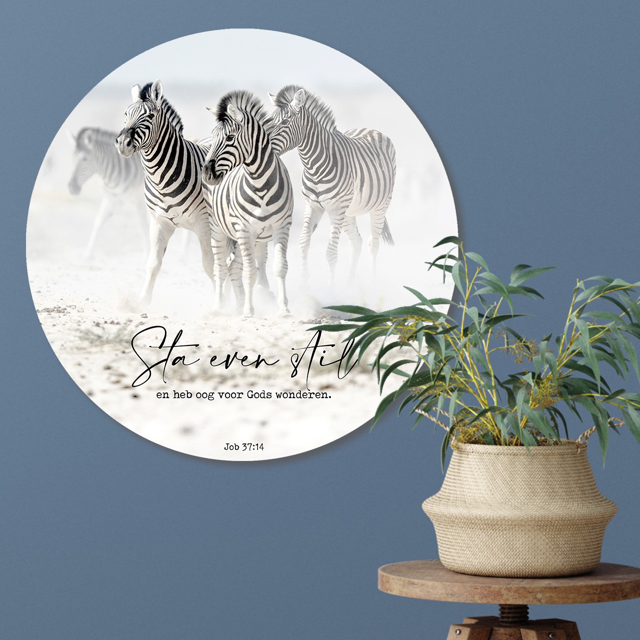 Muurcirkel 'Zebra's - Sta even stil' - 60 cm - MA39315 - Wanddeco bij MajesticAlly