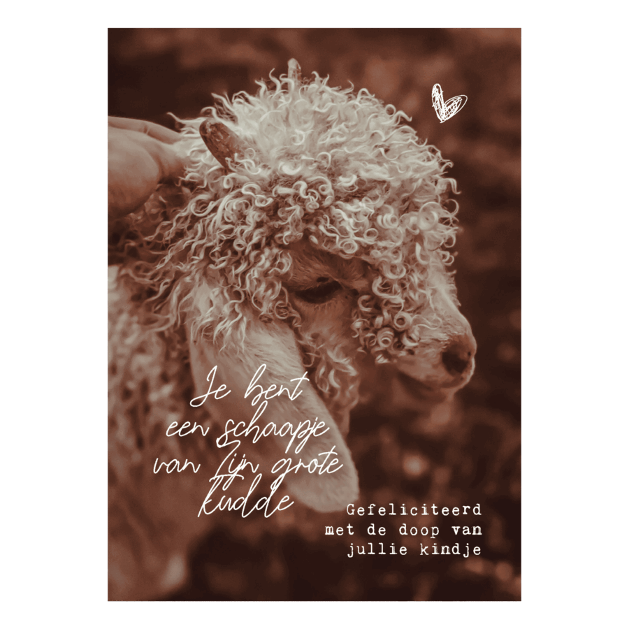 Interieurbord 'Je bent een schaapje'