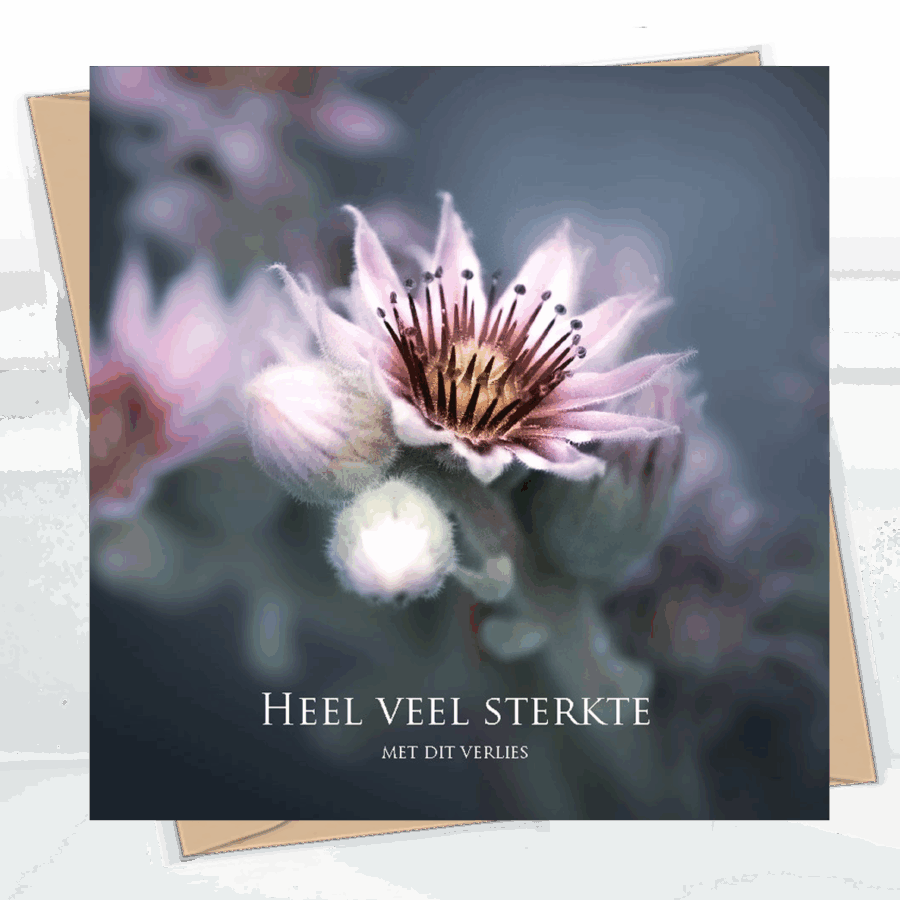 Sterkte & deelneming