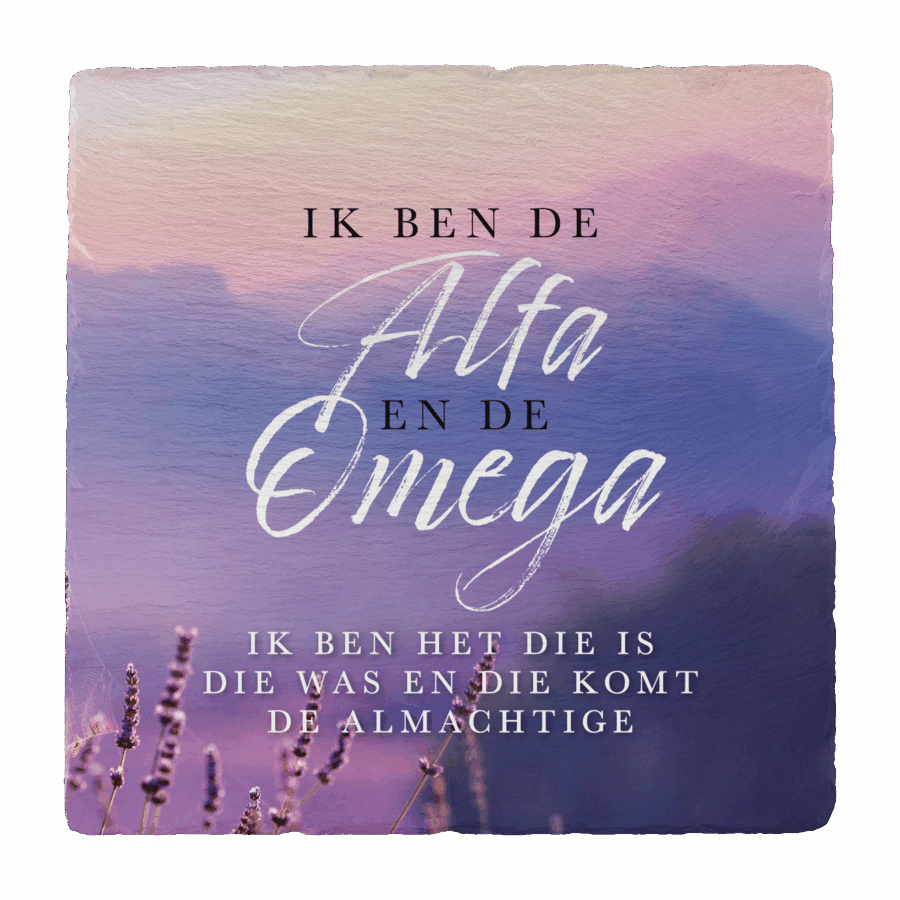 Leisteen 'Alfa en Omega'