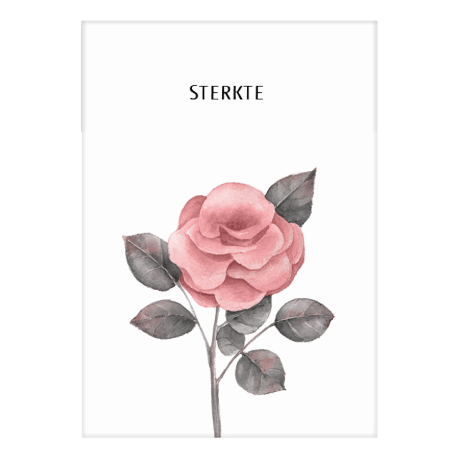 * Voordeelpakket  kaarten Beautiful Day, 42 kaarten