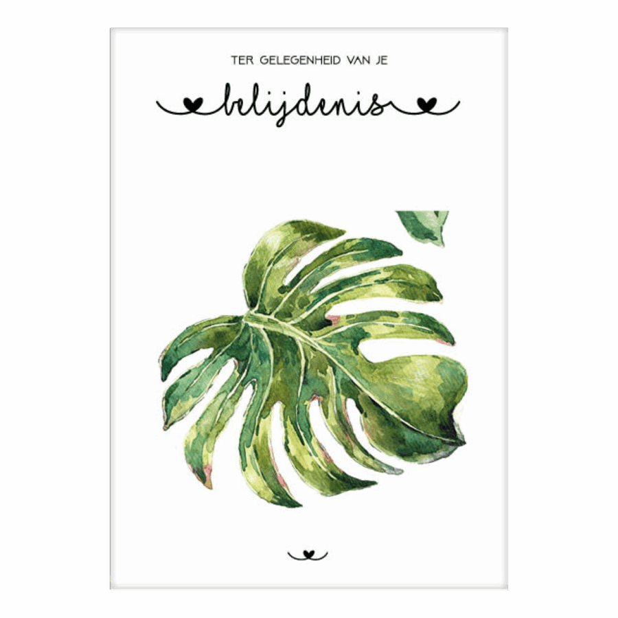 Belijdenis, 6 verschillende kaarten