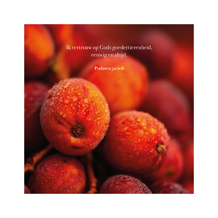 Kaart 'Herfstbessen - Psalm 52:10b'