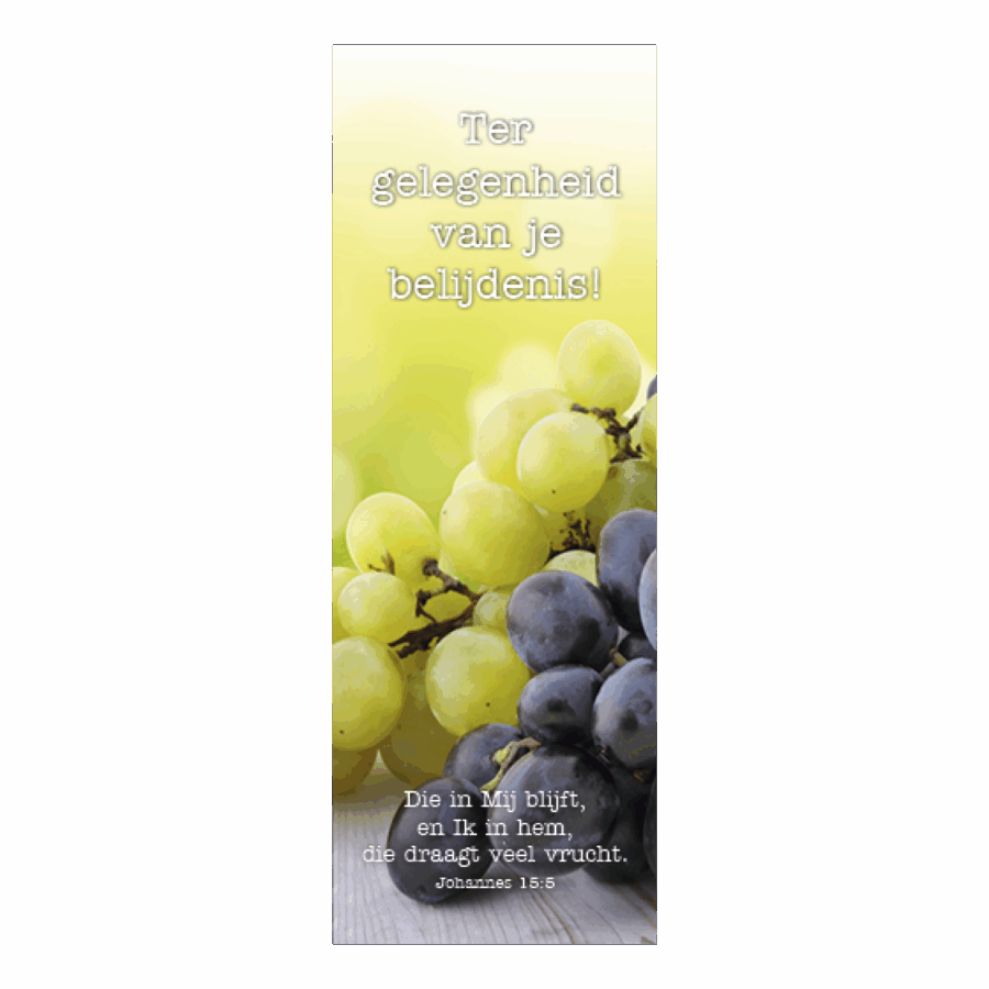 Boekenlegger tg van belijdenis Joh 15:5