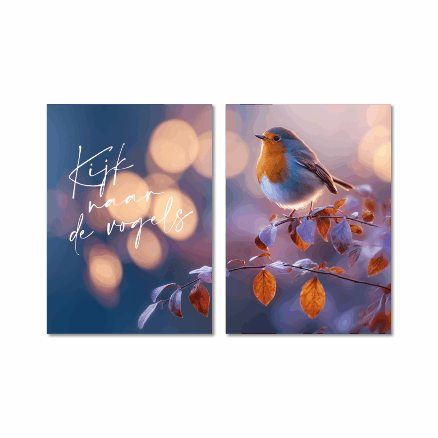 Tweeluik A3 (met tekst) 'Kijk naar de vogels'