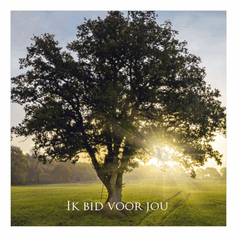 Wenskaart 'Ik bid voor jou'