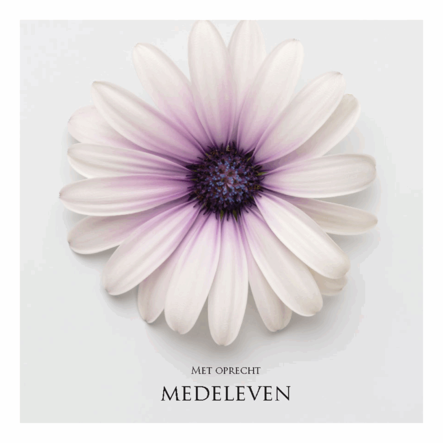 Wenskaart 'Met oprecht medeleven'