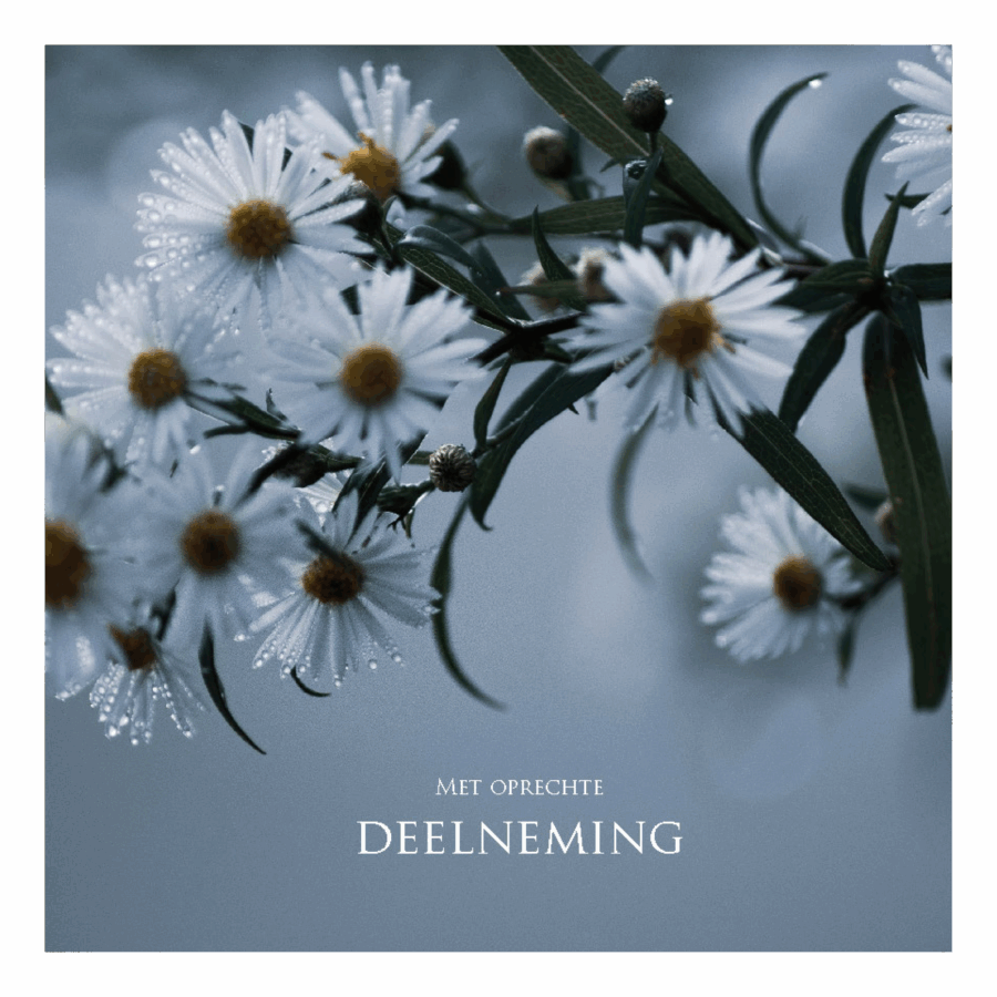 Wenskaart 'Met oprechte deelneming'