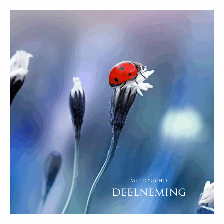 Wenskaart 'Met oprechte deelneming - Lieveheersbeestje'