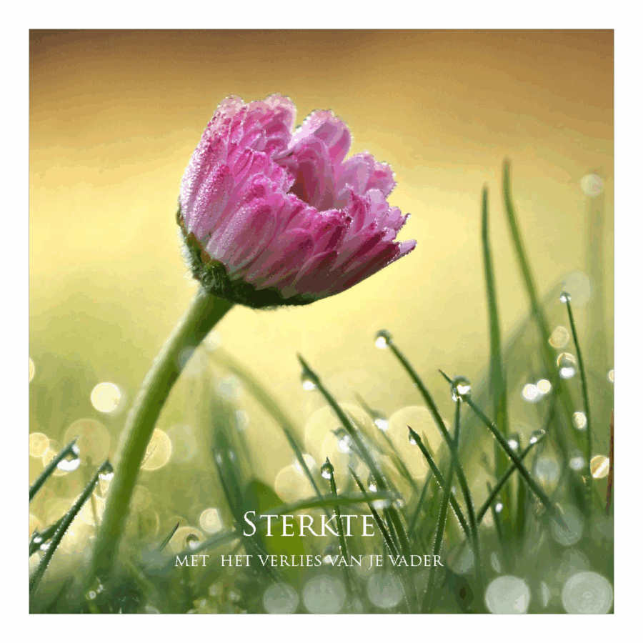 Wenskaart 'Sterkte - verlies vader'