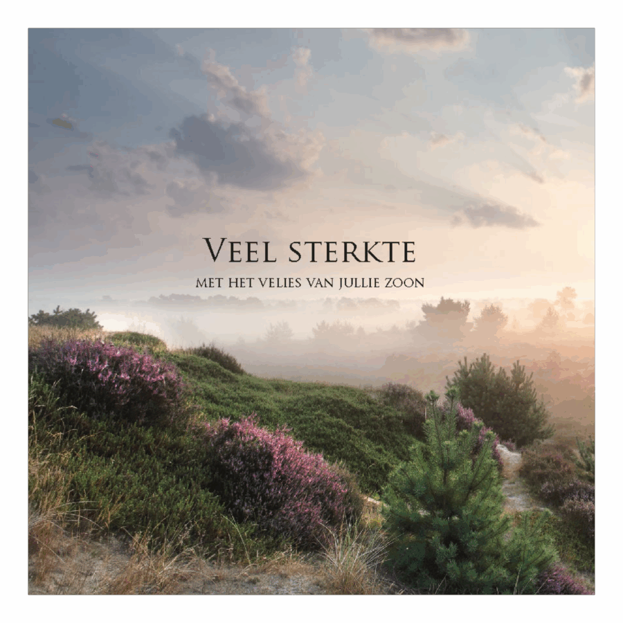 Wenskaart 'Veel sterkte - verlies zoon'